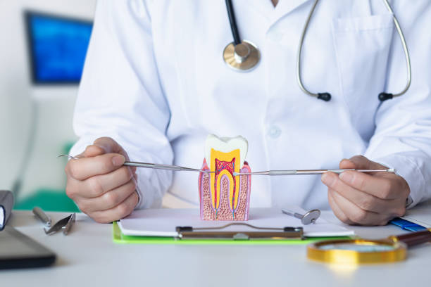 Best Cosmetic Emergency Dentistry in Heyville, AL